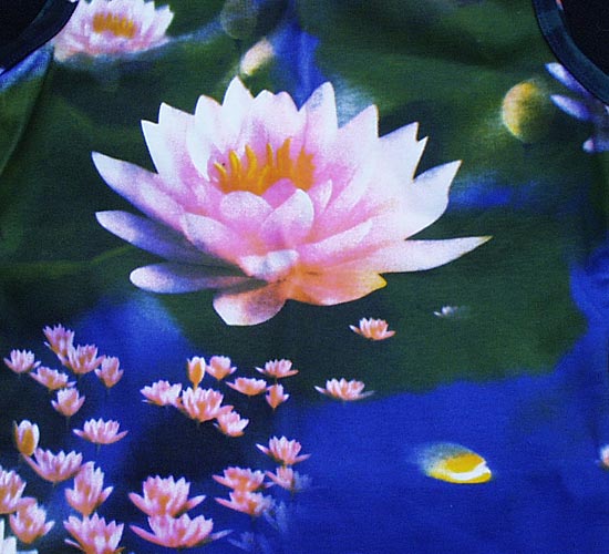 lotus.jpg